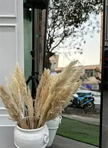 اجاره استند آینه